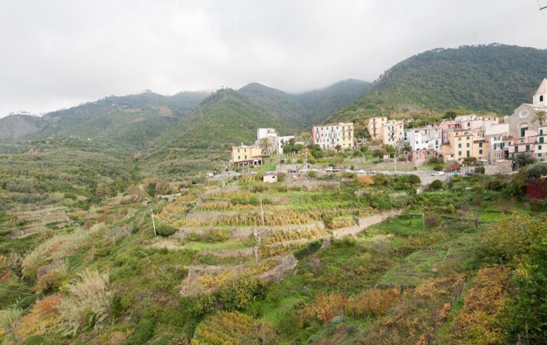 Arbanella Corniglia Quarto foto
